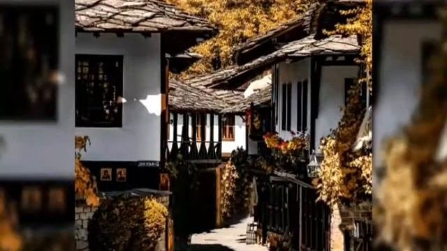Трансфер Болгария, трансфер Турция на микроавтобусе VIP Такси Кузя.