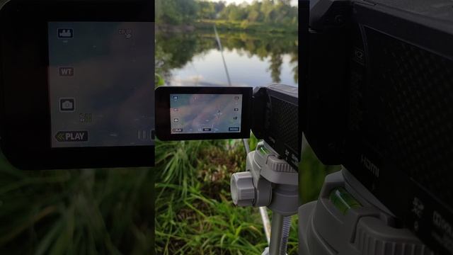 Как я слежу за поплавком. смотреть онлайн