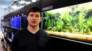 Борьба с водорослями. Часть 3. Нитчатка