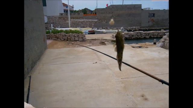 Shore Fishing in Croatia. The underwater world. Рыбалка в Хорватии. Подводный мир. смотреть онлайн