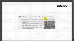 № 901-1000 - Математика 5 класс Никольский