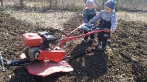 всё тот же мотоблок Макскут МС 750. очень молодые помошники