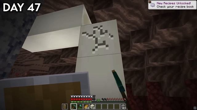 I Survived 100 Days in a 1x1 BORDER in Hardcore Minecraft... Here's What Happened