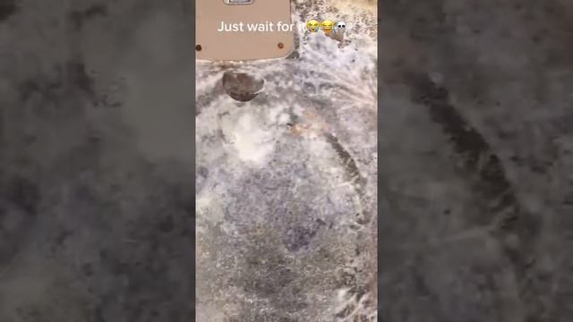 Плесень в багажнике захватила машину смотреть онлайн