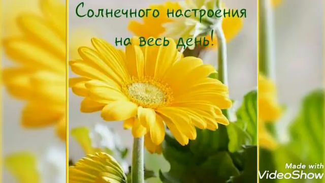 С ДОБРЫМ УТРОМ! ХОРОШЕГО НАСТРОЕНИЯ! 😊👌😊#хорошеенастроение #позитив
