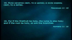 19.Виталий Олийник. Семинар по книге Откровение. Откровение запечатленных