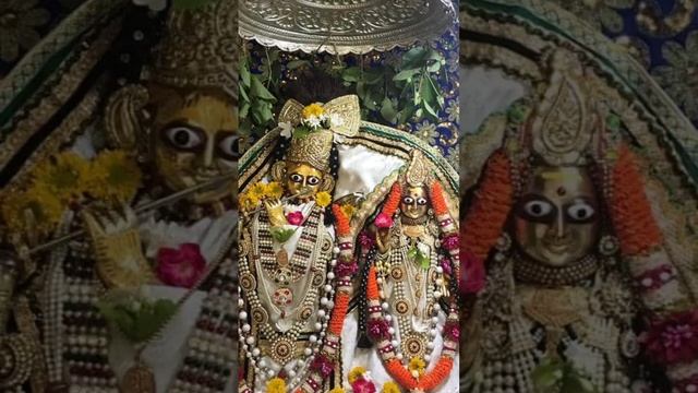 Jai Shri krishna bolo ?# shorts #viral #shortsfeed # bhajan#youtubeshorts #trending