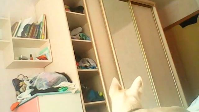 РУЧКА ОТВАЛИЛАСЬ:( | УХОДИМ ЗА ДВЕРЬ ХD смотреть онлайн