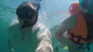 Дайвинг - Острова Сиамского залива