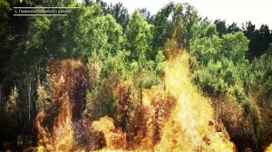 ГМИРЯНКА. ЧЕМ ЖИВЁТ ДЕРЕВНЯ