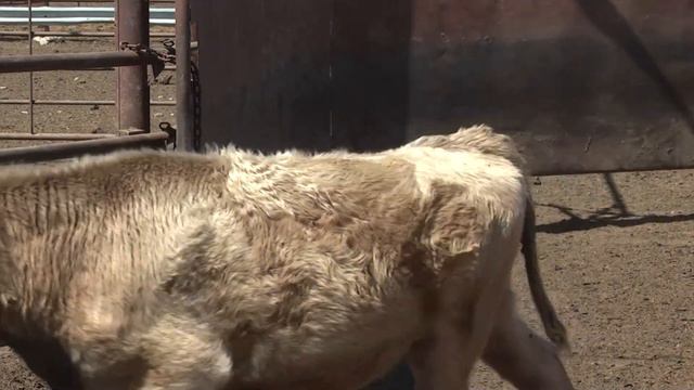 Farm Factor 03102020 смотреть онлайн