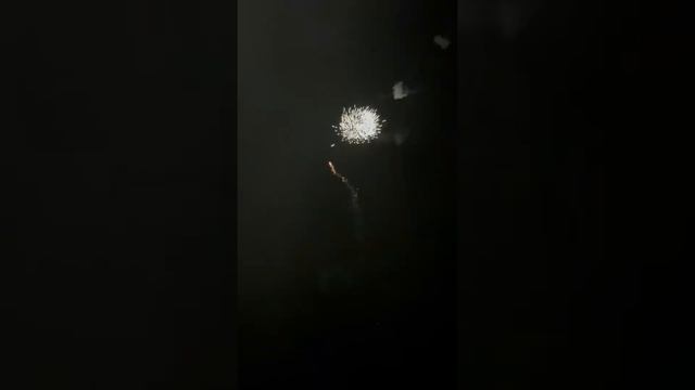 Buck Fever firework