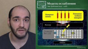 Когнитивная психология внимания #33. Теории ранней селекции. Модель ослабления Энн Трейсман