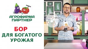 БОР ДЛЯ БОГАТОГО УРОЖАЯ