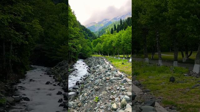 Горная река. Красота Кавказских гор. Это Кавказ. Абхазия, Озеро Рица. Paradise. Beautiful nature