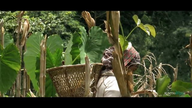 #YimkhongTvForTalentedNagaYouths Part 1 Maize Harvest in our farm in Shamator | #Vlogno1 смотреть онлайн