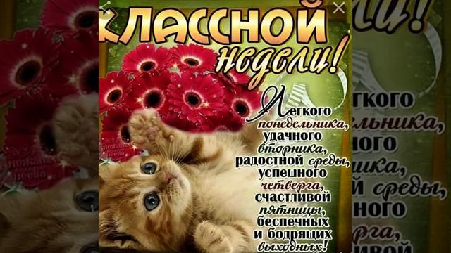 Позитивные пожелания лёгкого понедельника и позитивной недели в стихах