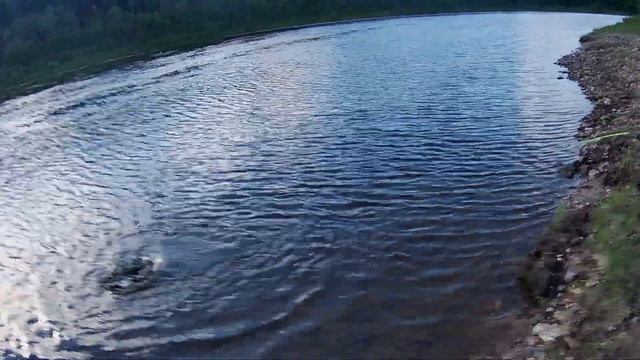 КРУПНЯК НА КУКУРУЗУ! Ванины первые трофеи: ЛЕЩ, ГОЛАВЛИ ЗАКИЛОШНИКИ. Ловля на донку на Волге в июне