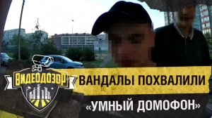 Вандалы напали на «Умный домофон» и похвали его за прочность | Видеодозор