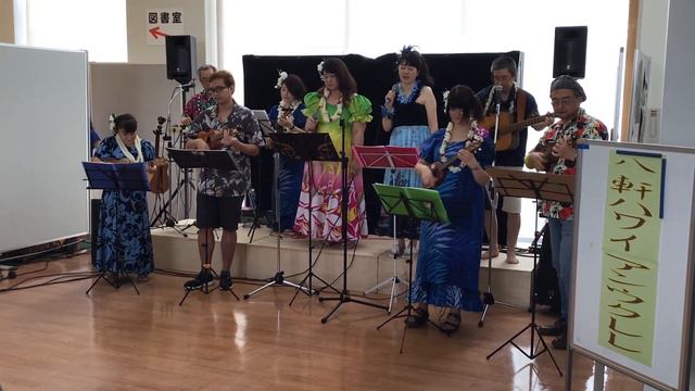 Kaimana Hila смотреть онлайн