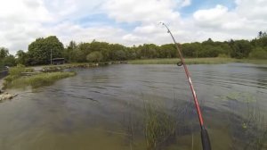 Fishing: catching 29 jumbo perch in 1.5 hour. Рыбалка, твитчинг: 29 окуней на воблер за 1.5 часа.