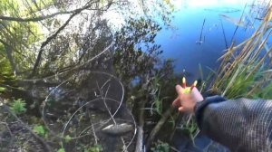 ДУШЕВНА РИБАЛКА НА ПОПЛАВОК ПРОХОЛОДНИМ РАНКОМ.Рибалка на карася