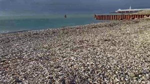 ЧЁРНОЕ МОРЕ В ЯНВАРЕ. ТУАПСЕ КРАСНОДАРСКИЙ КРАЙ.