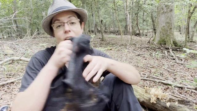 Oak grove mushrooms: Black trumpets, indigo milky caps, chanterelles, crown-tipped coral + more смотреть онлайн