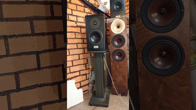 Dynaudio special one(2)