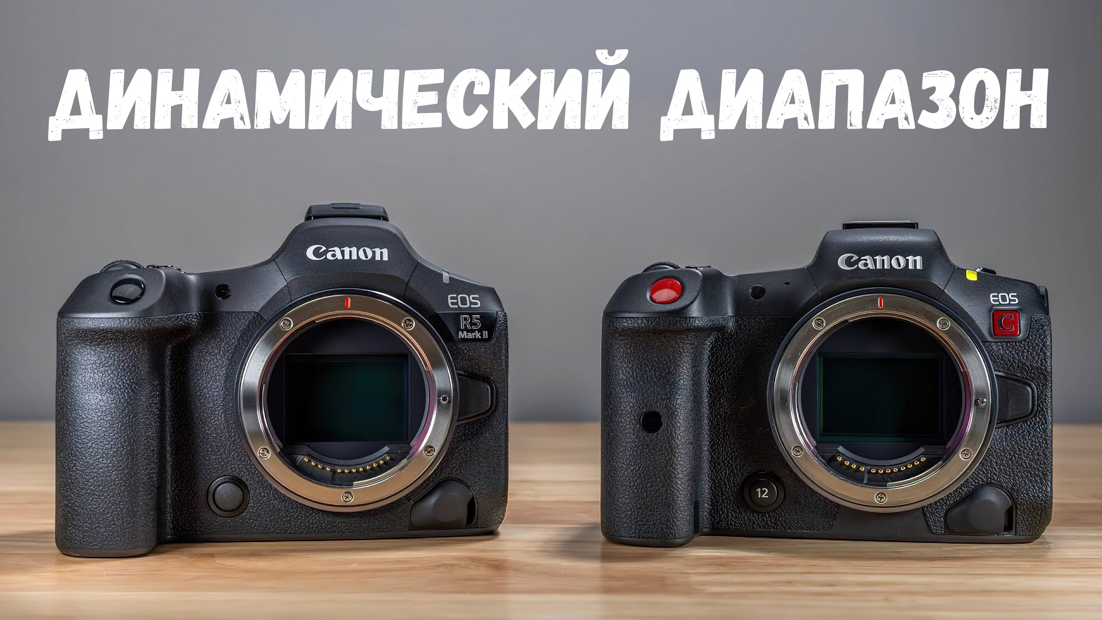 Canon R5 II vs R5C - сравнение динамического диапазона фотоаппаратов в разных режимах