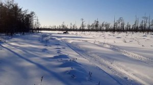 Мотособака SHARMAX 500/1450/15 переделана в толкач.