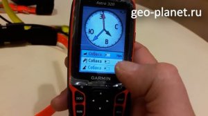 Garmin Astro 320 с прошивкой 4.50 и ошейниками T5/TT15