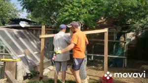 Утки на новом месте// загон для птицы за 5 мин