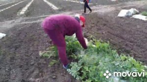 мне хочется просто спокойно жить