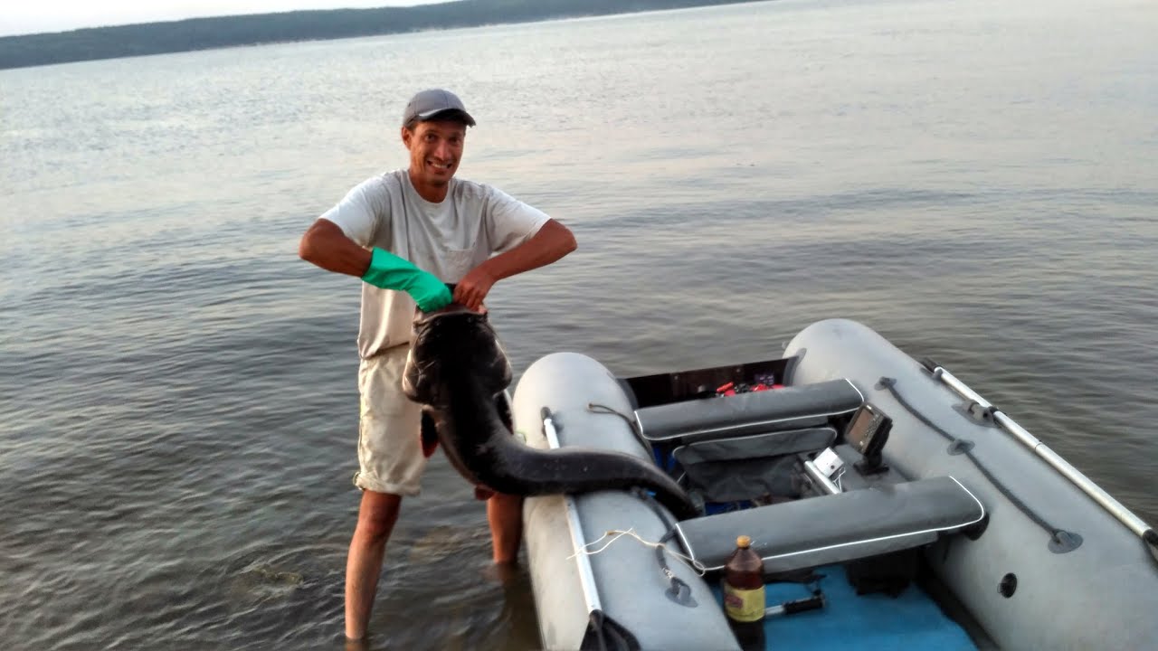 Рыбалка на сурском водохранилище. Сом Сурское водохранилище. Сомы в Сурском водохранилище. Сом на Сурском водохранилище. Самый большой сом на Сурском водохранилище.