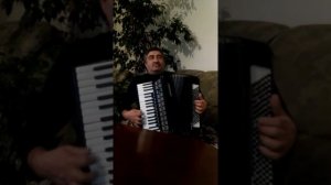 Хорошая мелодия на аккордионе