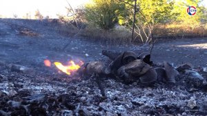 Севастопольские пожарные оперативно ликвидировали лесные возгорания