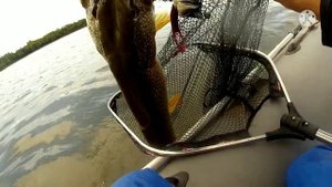 Трофейная рыбалка в Саратове на щуку с дорогим гостем. + РОЗЫГРЫШ ПРИМАНОК!!!!!!!!!!