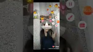 Тренды из лайка флешмоб 2020