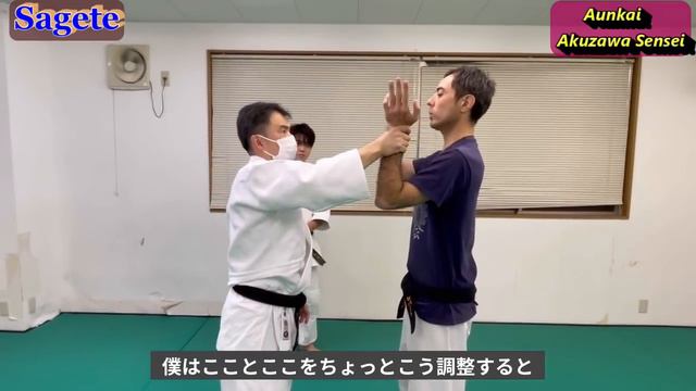 武術とは何か？【阿吽会、下げ手】/ What does it mean to absorb someone's power? смотреть онлайн