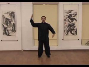 Тайцзи-цюань Ян 24ф. - подробности №4 формы с доктором Бутримовым. Ассоциация Даоинь России