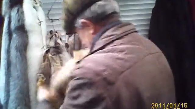 Продажа волчьей шкуры на киевском рынке смотреть онлайн