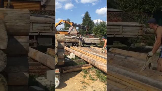 Сборка сруба смотреть онлайн