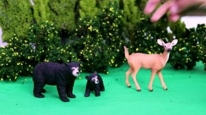 SCHLEICH Wild Life and Farm World Animals! Playtime with jungle safari lion, tiger, monkey