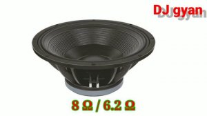 audiotone 21 inch speaker price | audiotone 2000 watt speaker price | audiotone speaker | DJ gyan |