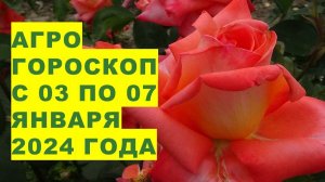 Агрогороскоп с 03 по 07 января 2024 года. Agrohoroscope from January 03 to January 07, 2024