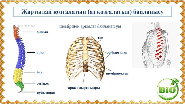 Сүйектердің байланысу типтері 8-сынып