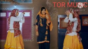 TOOM NEW HARYANVI SONG