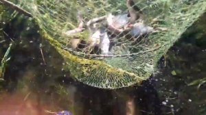 Рыбалка с палаткой Усть-Донецк