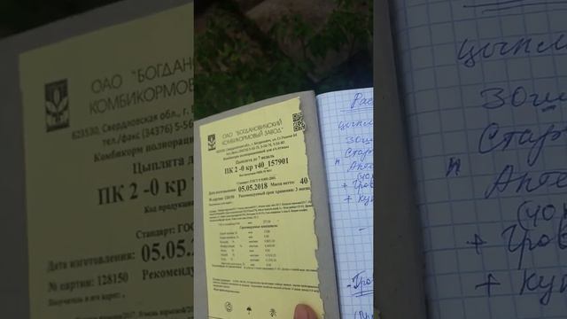 Цыплята бройлеры Арбор. 20 дней. Выращивание бройлеров. смотреть онлайн